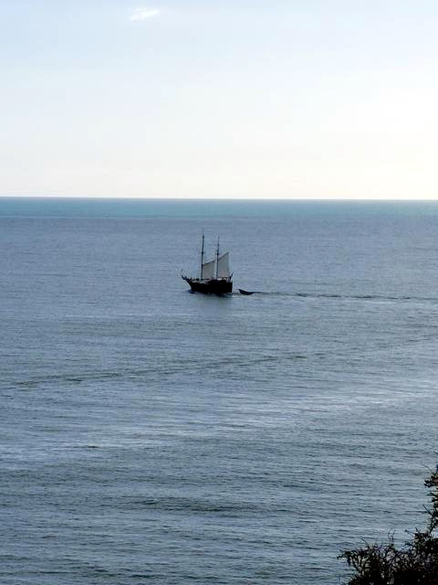 Schiff an der Algarveküste - war es Kolumbus auf seinem Weg nach Amerika?