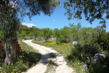 ländliche Idylle an der Algarve