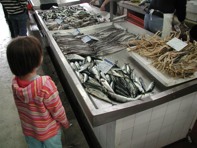 tote Fische in Olhao